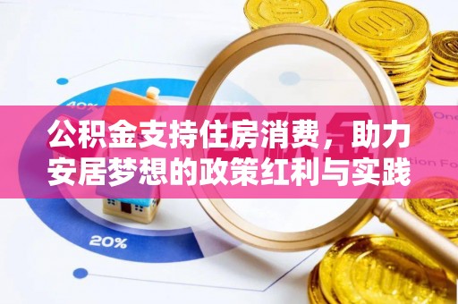 崖州公积金支持住房消费，助力安居梦想的政策红利与实践