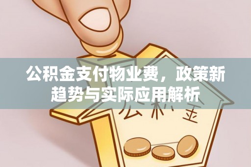 崖州公积金支付物业费，政策新趋势与实际应用解析