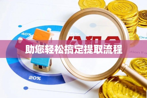 崖州助您轻松搞定提取流程