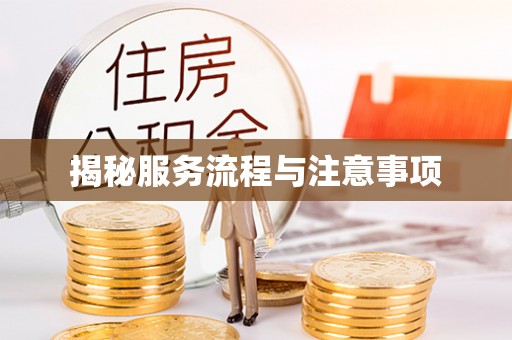 崖州揭秘服务流程与注意事项