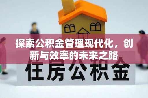 崖州探索公积金管理现代化，创新与效率的未来之路