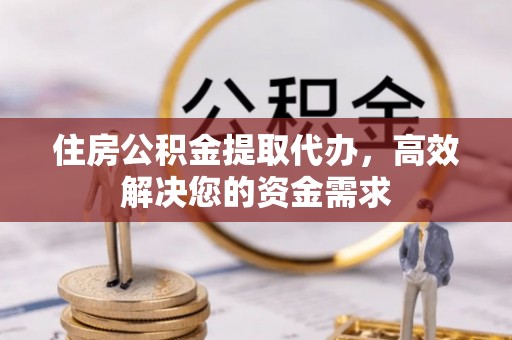 崖州住房公积金提取代办，高效解决您的资金需求