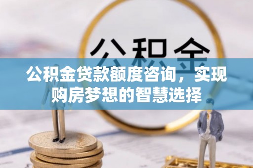 崖州公积金贷款额度咨询，实现购房梦想的智慧选择