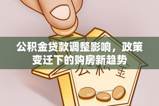 崖州公积金贷款调整影响，政策变迁下的购房新趋势