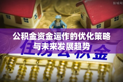 崖州公积金资金运作的优化策略与未来发展趋势