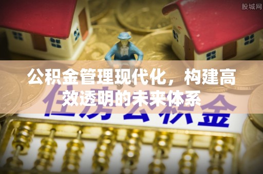 崖州公积金管理现代化，构建高效透明的未来体系