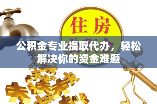 崖州公积金专业提取代办，轻松解决你的资金难题