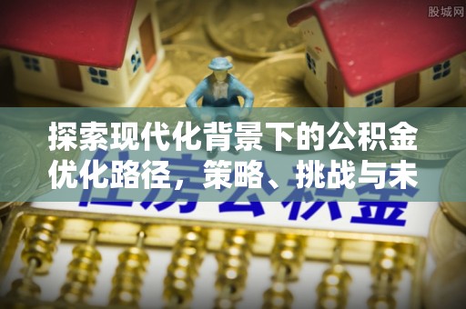 崖州探索现代化背景下的公积金优化路径，策略、挑战与未来展望