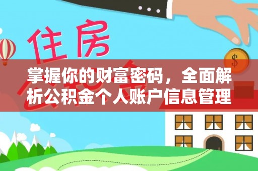 崖州掌握你的财富密码，全面解析公积金个人账户信息管理与优化