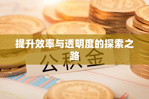 崖州提升效率与透明度的探索之路