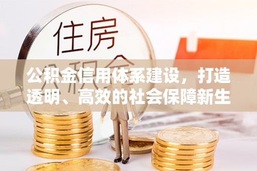 崖州公积金信用体系建设，打造透明、高效的社会保障新生态