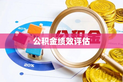 崖州公积金绩效评估