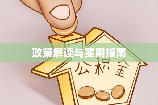 崖州政策解读与实用指南