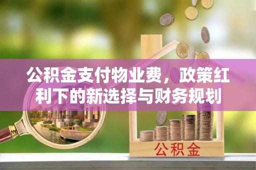 崖州公积金支付物业费，政策红利下的新选择与财务规划