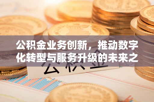 崖州公积金业务创新，推动数字化转型与服务升级的未来之路
