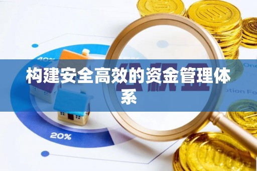 崖州构建安全高效的资金管理体系