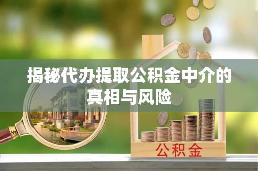 崖州揭秘代办提取公积金中介的真相与风险