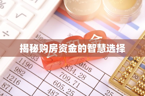 崖州揭秘购房资金的智慧选择