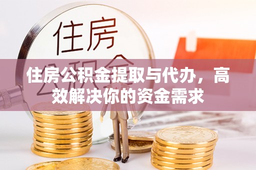 崖州住房公积金提取与代办，高效解决你的资金需求