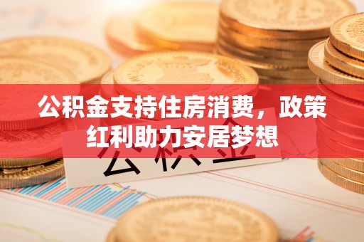 崖州公积金支持住房消费，政策红利助力安居梦想