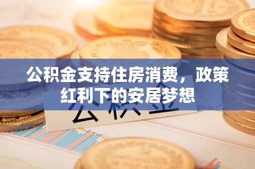 崖州公积金支持住房消费，政策红利下的安居梦想