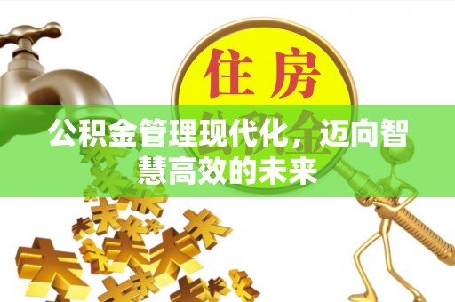 崖州公积金管理现代化，迈向智慧高效的未来