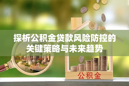 崖州探析公积金贷款风险防控的关键策略与未来趋势