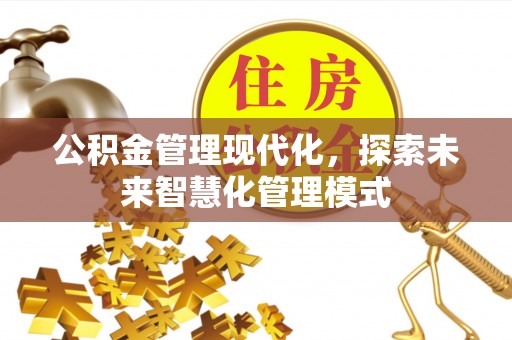 崖州公积金管理现代化，探索未来智慧化管理模式