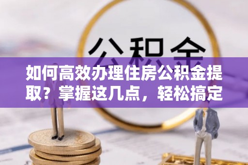 崖州如何高效办理住房公积金提取？掌握这几点，轻松搞定！