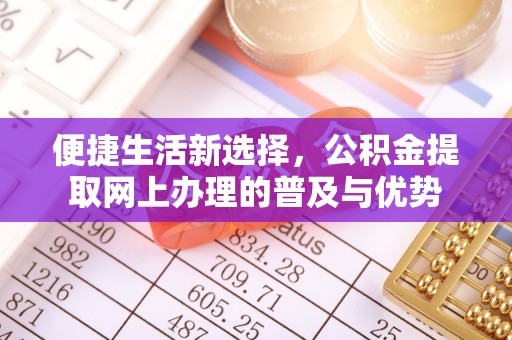 崖州便捷生活新选择，公积金提取网上办理的普及与优势