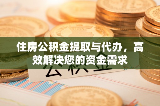 崖州住房公积金提取与代办，高效解决您的资金需求