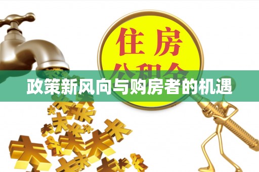 崖州政策新风向与购房者的机遇
