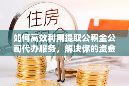 崖州如何高效利用提取公积金公司代办服务，解决你的资金难题