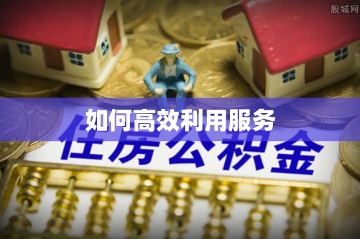 崖州如何高效利用服务
