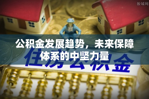 崖州公积金发展趋势，未来保障体系的中坚力量