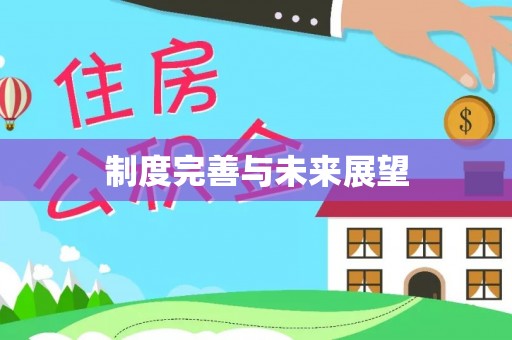 崖州制度完善与未来展望