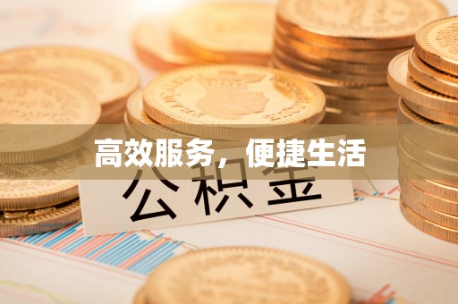 崖州高效服务，便捷生活