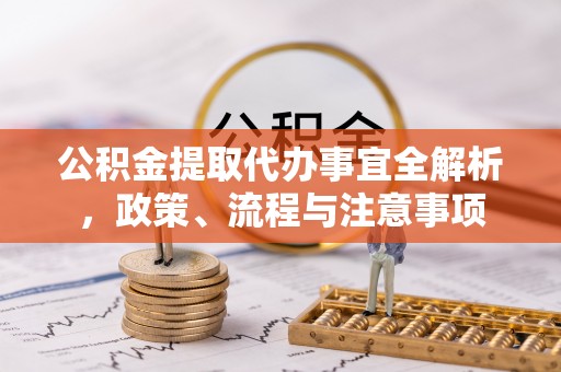 崖州公积金提取代办事宜全解析，政策、流程与注意事项