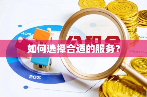 崖州如何选择合适的服务？