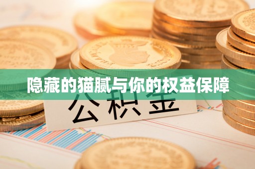 崖州隐藏的猫腻与你的权益保障
