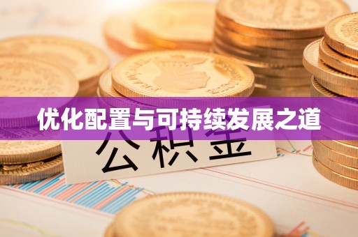 崖州优化配置与可持续发展之道