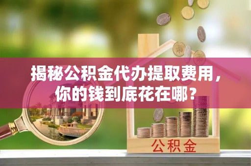 崖州揭秘公积金代办提取费用，你的钱到底花在哪？