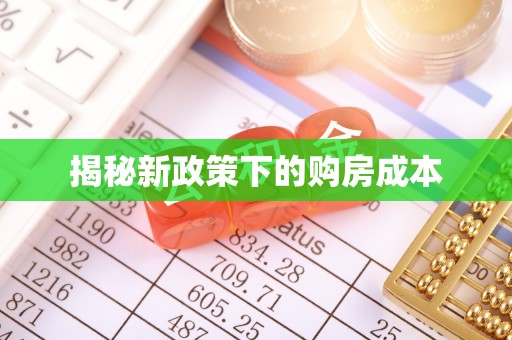 崖州揭秘新政策下的购房成本