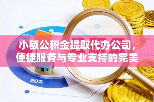 崖州小额公积金提取代办公司，便捷服务与专业支持的完美结合