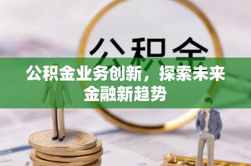 崖州公积金业务创新，探索未来金融新趋势