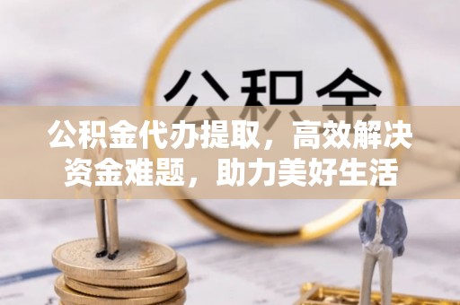 崖州公积金代办提取，高效解决资金难题，助力美好生活