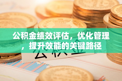 崖州公积金绩效评估，优化管理，提升效能的关键路径