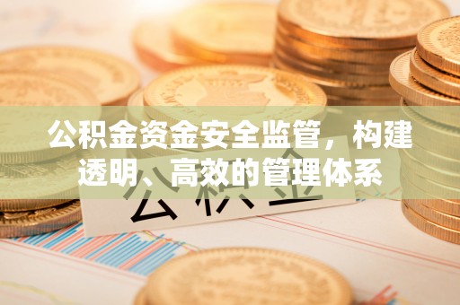 崖州公积金资金安全监管，构建透明、高效的管理体系