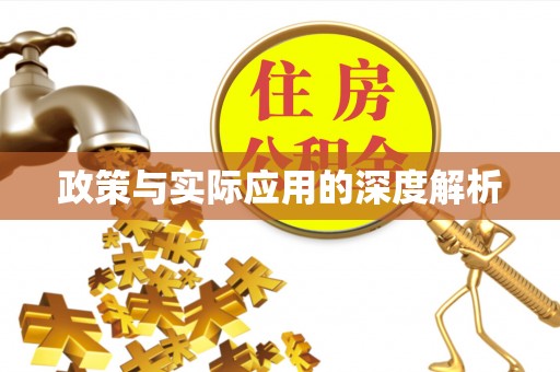 崖州政策与实际应用的深度解析