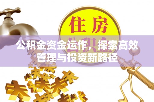 崖州公积金资金运作，探索高效管理与投资新路径